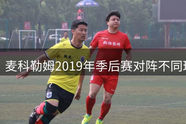 麦科勒姆2019年季后赛对阵不同球队得分统计